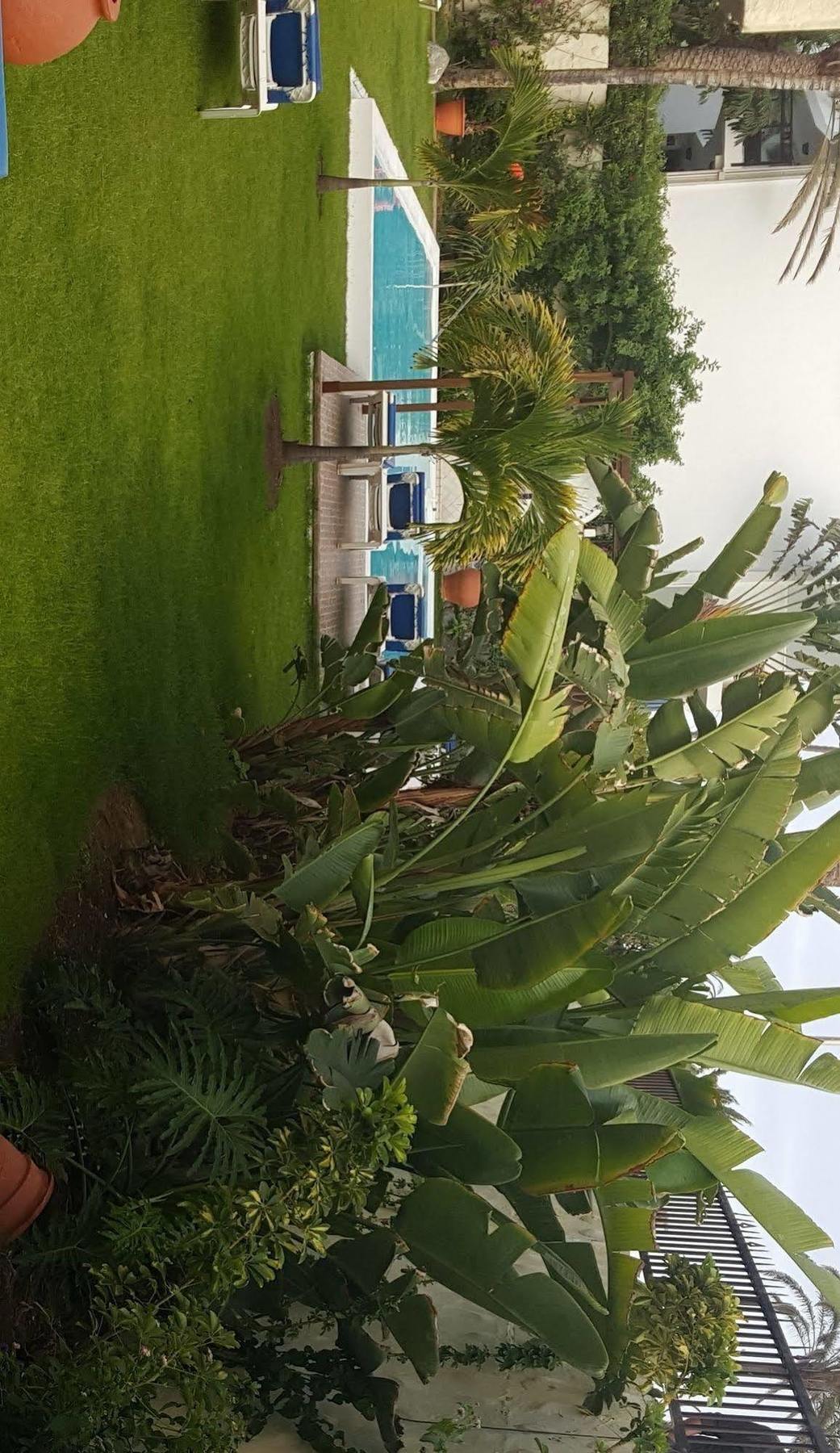 Alsol Nogal (Adults Only) Apartment Playa del Ingles  Exterior photo